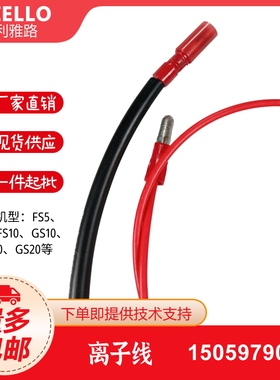 利雅路RIELLO离子线FS5 FS10 FS20 GS5 GS10 GS20离子探针感应线