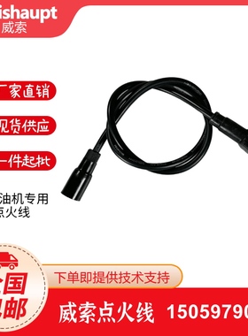 Weishaupt威索燃烧机MS5Z MS7Z MS8Z MS9Z高压导线高压点火线