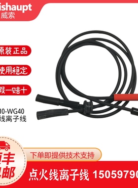 威索燃烧机点火线 离子线WG10/1-D/20/30/40N离子探针线 高压线
