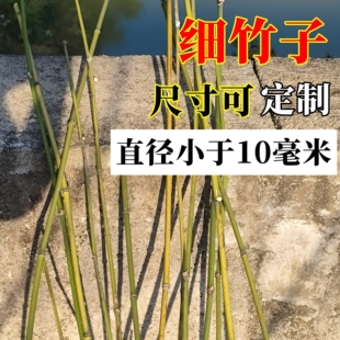锔瓷工具金刚钻材料弓子短竹吸管空老竹超细竹子毛竹杆子竹棍竹棒