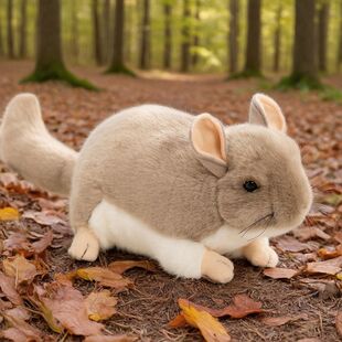 仿真龙猫公仔毛绒玩具毛丝鼠玩偶布娃娃儿童节生日礼物送男孩女孩