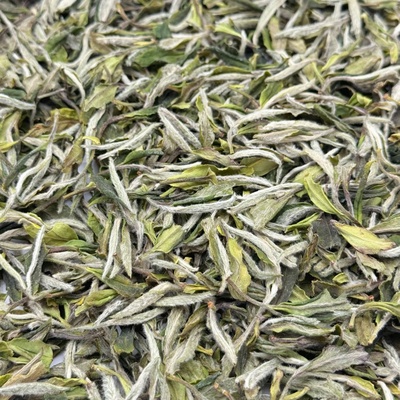 2025福鼎一级白牡丹磻溪南广高山茶花香型125克罐装