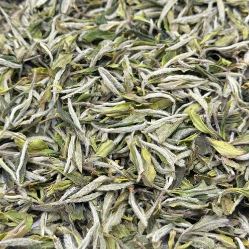 2025福鼎一级白牡丹磻溪南广高山茶花香型125克罐装