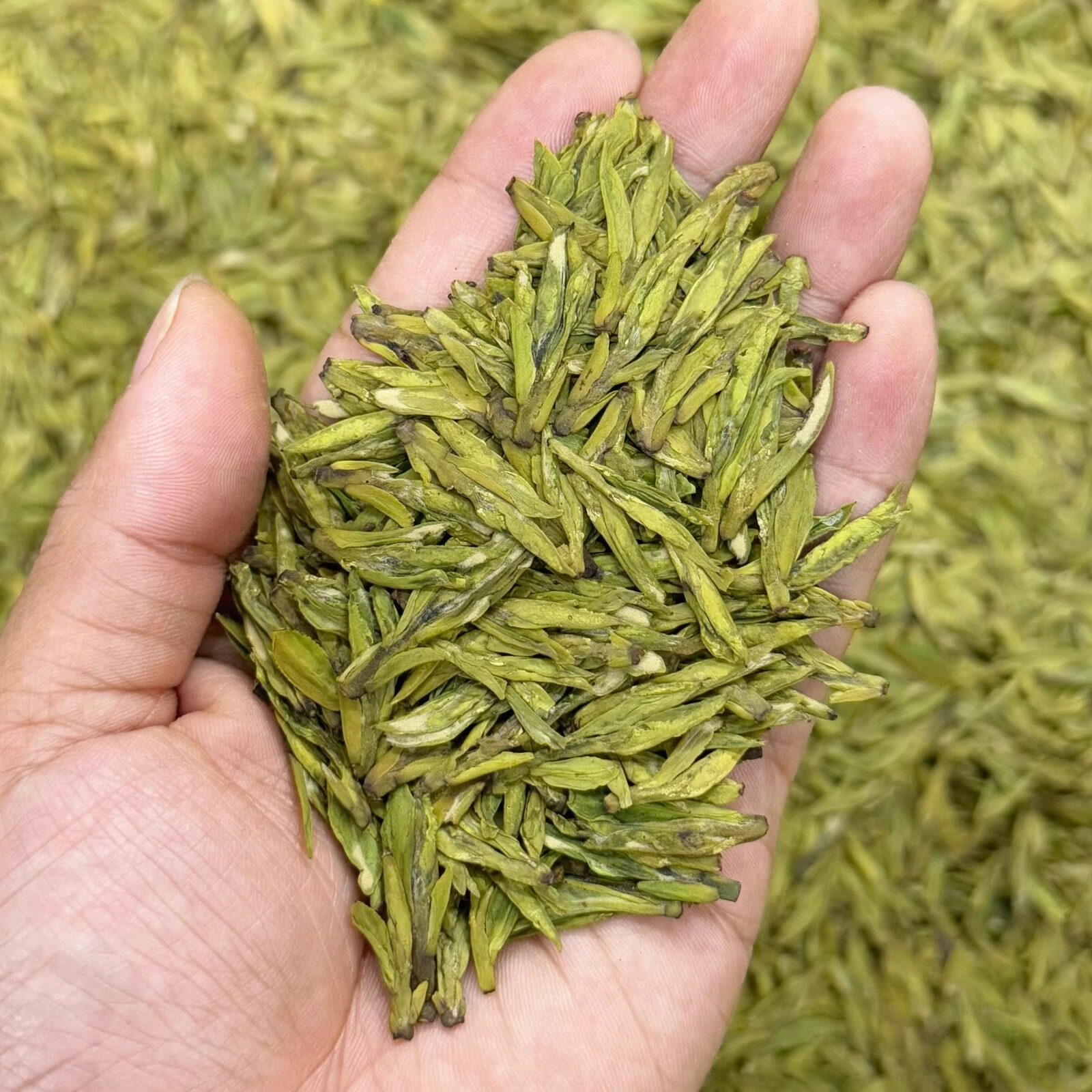 【陶宇军的杭州龙井43】2025半手工明前头采豆香型50克罐装