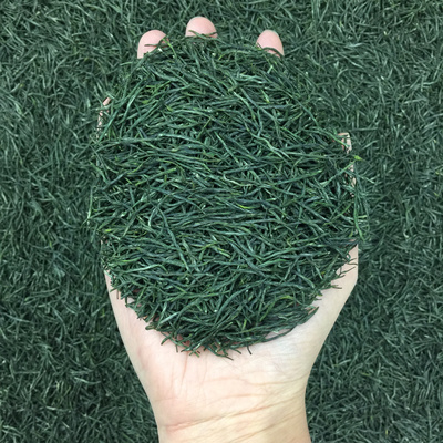 正宗信阳原产毛尖2026新茶特级绿茶雨前春茶嫩芽毛尖散装茶叶