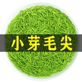 2025新茶毛尖茶叶信阳原产雨前嫩芽浓香型绿茶毛尖茶叶自己喝散装