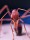 Жадный муравей-бульдог Myrmecia gulosa Великолепный Красный Бык mini 1