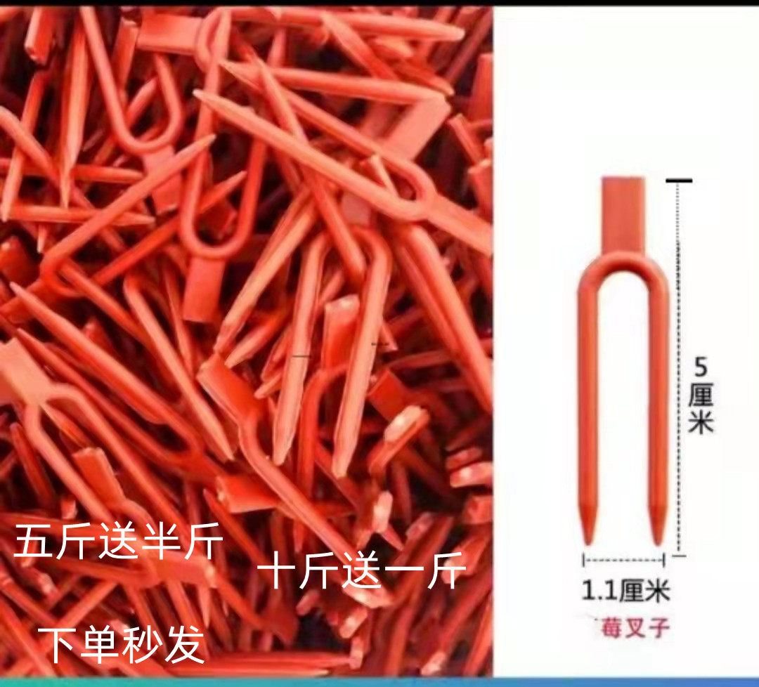 新款圆形草莓压苗叉育苗叉 压苗固定器 藤蔓植物固定器5斤送半斤,鲜花速递/花卉仿真/绿植园艺,其它园艺用品,淘宝优惠券,粉丝福利购,淘宝优惠卷
