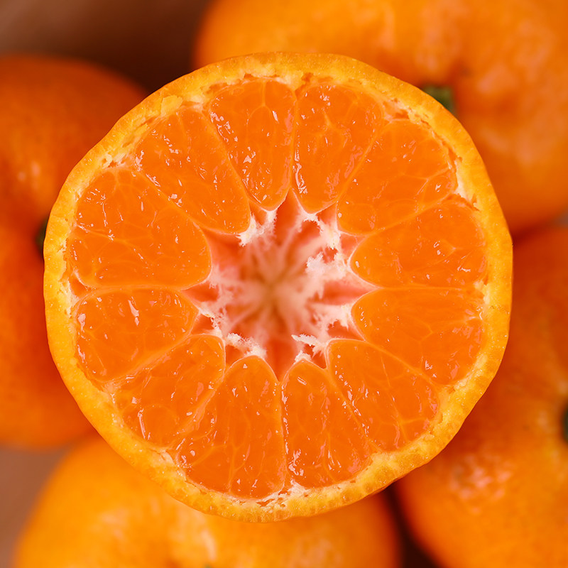 江西南丰蜜桔蜜广桔赣南脐橙农产品送礼桔桔子橘子哥推荐新品种10