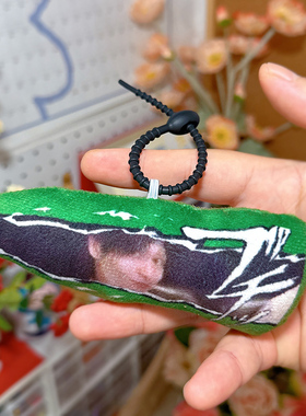 虚拟桌宠德川玩偶挂件鬼畜homo毛绒钥匙扣来图定制会员制餐厅周边