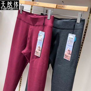 天然体秋冬保暖裤女高腰单层磨毛100%绵羊毛加长护膝薄棉裤TQ3381