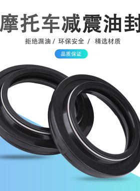 适用川崎Ninja300 500铃木RM85 GS500 GSX750摩托车前叉减震油封