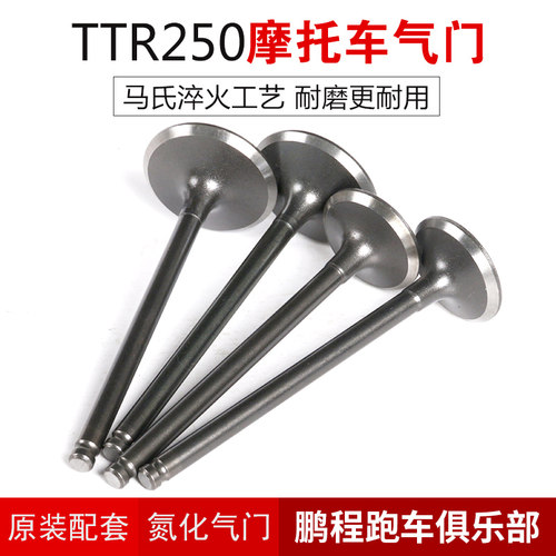 TTR250摩托车进排气门油封