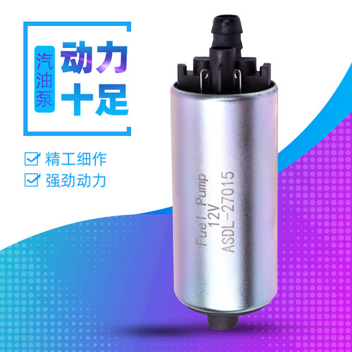 GTSGTV300250汽油泵芯燃油泵