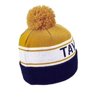 TaylorMade泰勒梅高尔夫球帽男士针织帽新款保暖运动golf针织帽子