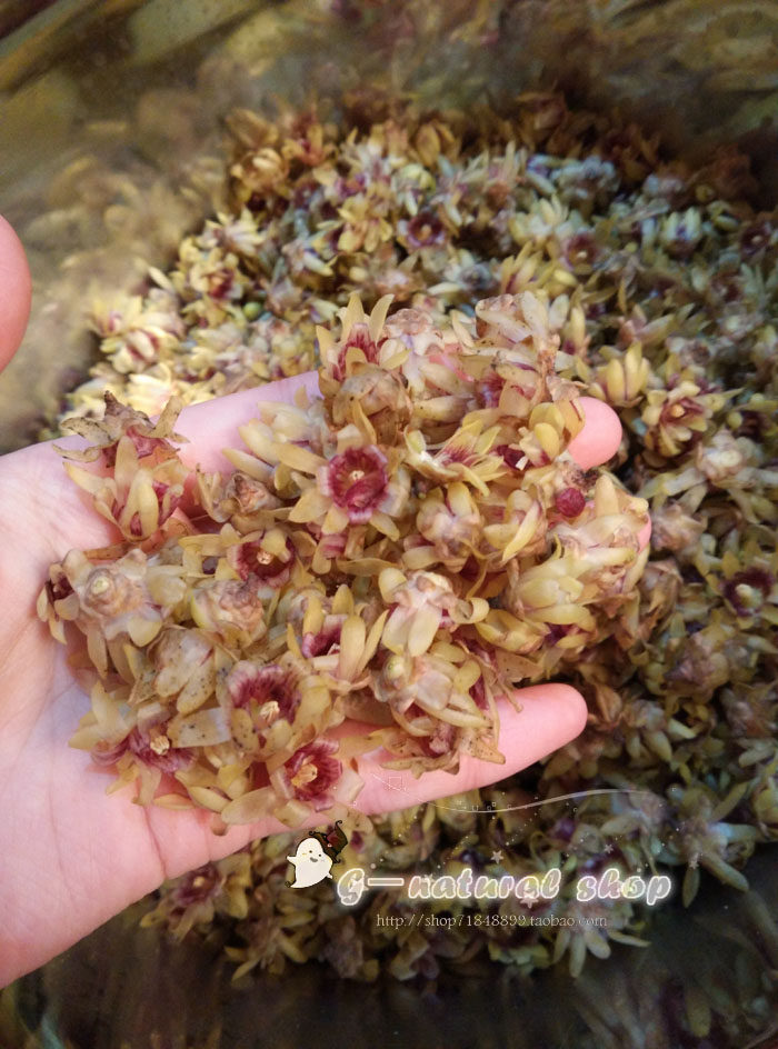 【G家】限量腊梅纯露，平衡油脂，补水滋润皮肤，今年的香味很嗲,美容护肤/美体/精油,纯露/花水,淘宝优惠券,粉丝福利购,淘宝优惠卷