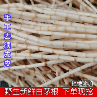 纯野生白茅根茅草精选根新鲜现挖去皮根丝茅根干货中药材500g包邮