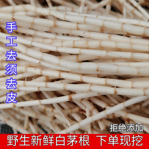 野生白茅根山区直销下单现挖去皮