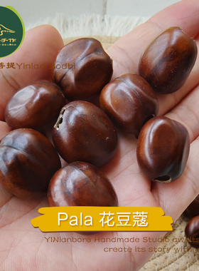 印尼果壳风铃diy花豆蔻手摇铃Pala植物果壳摇铃DIY材料包