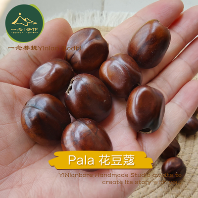 印尼果壳风铃diy花豆蔻手摇铃Pala植物果壳摇铃DIY材料包