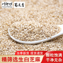 白芝麻生新货新鲜芝麻带壳粒烘焙带皮芝麻商用非熟农家黑芝麻散装