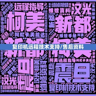 汉光 新都 柯美 震旦  复印机 原厂售后团队 技术支持 维修资料