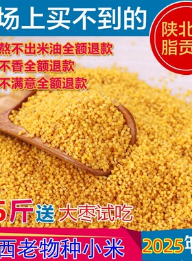 【羊粪种植】新米2025年陕西延安油小米老品种山地香谷米脂5斤