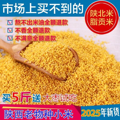 【羊粪种植】新米2025年陕西延安油小米老品种山地香谷米脂5斤