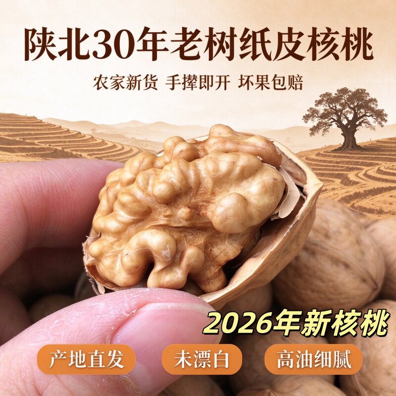 2026年新陕西特产薄皮核桃 野生延安黄龙核桃大核桃185纸皮核桃