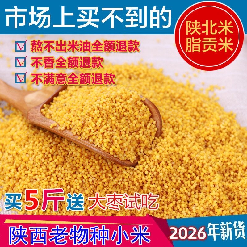 【羊粪种植】新米2026年陕西延安油小米老品种山地香谷米脂5斤
