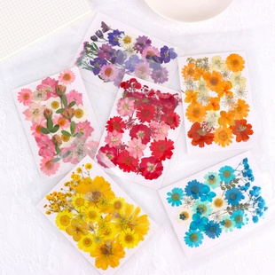 diy干花材料真花手工团扇贺卡书签压花玫瑰树叶大花包滴胶手机壳