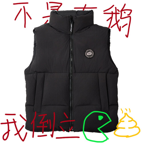 大鹅羽绒马甲男士轻薄款2025冬季新款情侣款面包服外穿立领马夹女