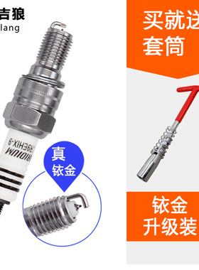 适用CB400铱金火花塞 小黄蜂250 VTEC1-4代 CBR400 CBR600 F5火嘴