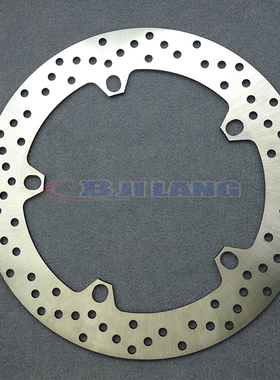 适用于宝马R1100GS 94-01 R1110S 98-00 R1150GS 99-04前刹车盘碟