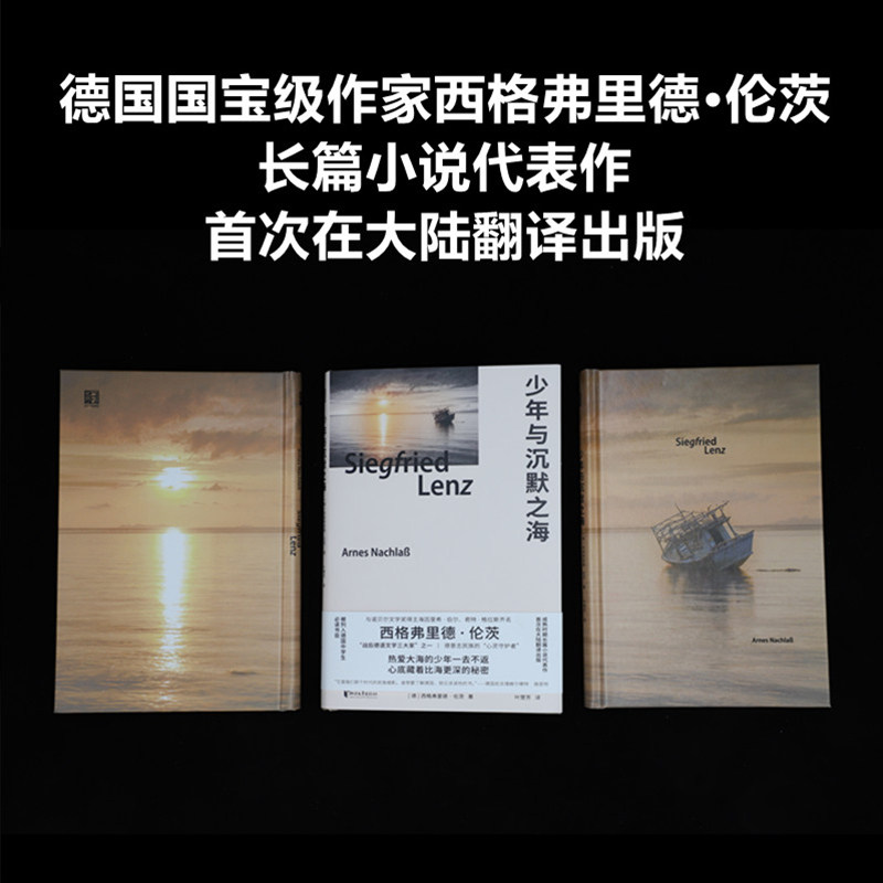 新华正版  少年与沉默之海 西格弗里德·伦茨 莫言渴望见到的伟大作家