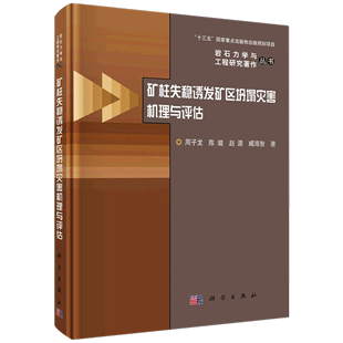 矿柱失稳诱发矿区坍塌灾害机理与评估(精)/岩石力学与工程研究著作丛书