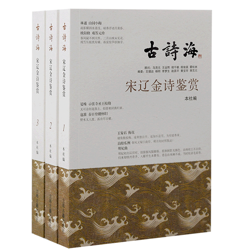 宋辽金诗鉴赏(共3册)/古诗海古代诗歌注释赏析上海古籍出版社中国宋代文学作品