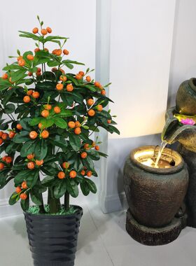 仿真金桔假树红果家居室内客厅摆设装饰假水果盆栽绿植懒人盆景花