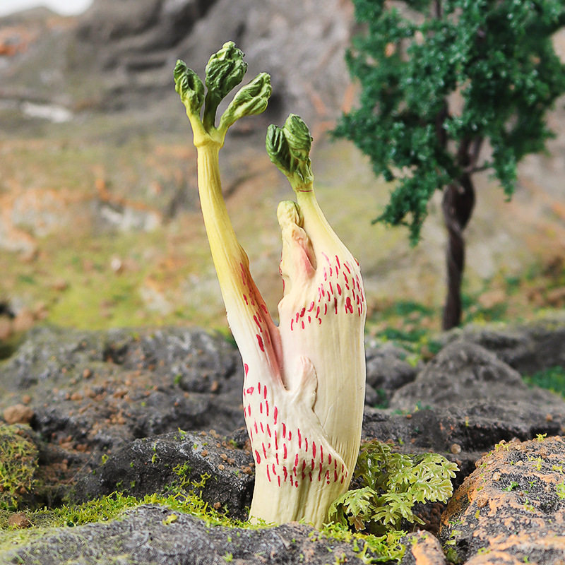 仿真蔬菜模型独活野菜山菜无花果竹笋食品店橱窗摆件儿童玩具