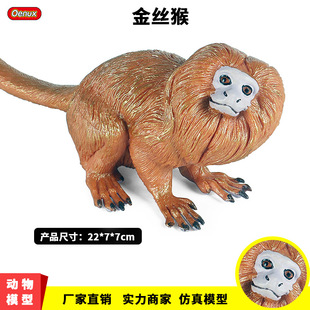 仿真实心动物园猴子模型静态金丝猴猩猩猿猴儿童塑胶玩偶装饰摆件