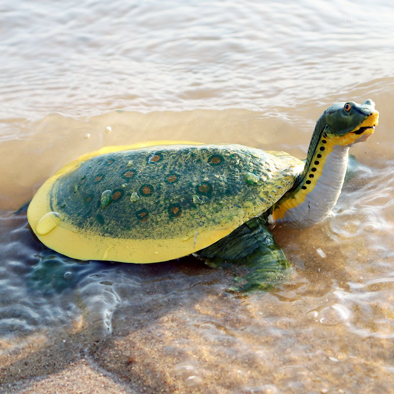 跨境仿真海洋生物动物模型淡水甲鱼角鳖乌龟王八鳖模型儿玩具摆件