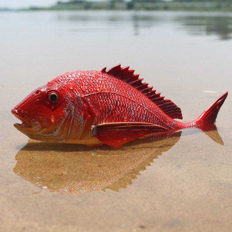 仿真海洋动物模型观赏鱼红绸鱼苏眉鱼淡水鱼鲤鱼狼鱼儿童玩具摆件