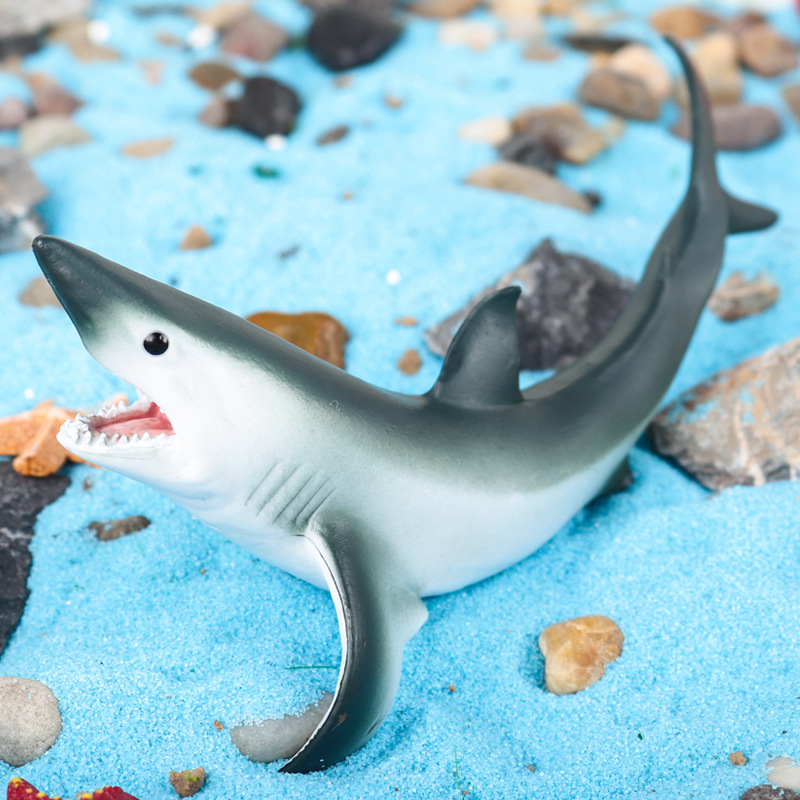 儿童认知仿真实心海洋动物模型玩具尖吻鲭鲨大白鲨巨齿鲨摆件