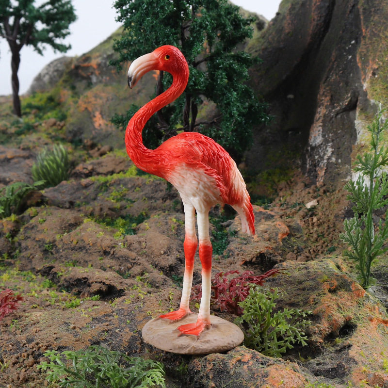儿童仿真实心动物模型火烈鸟红鹳红鹤北欧家居办公桌蛋糕摆件