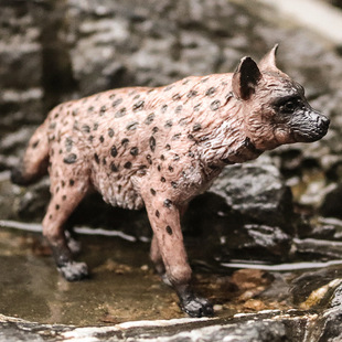 儿童实心仿真动物玩具模型 仿真动物园玩具 鬣狗 斑鬣狗 非洲土狼