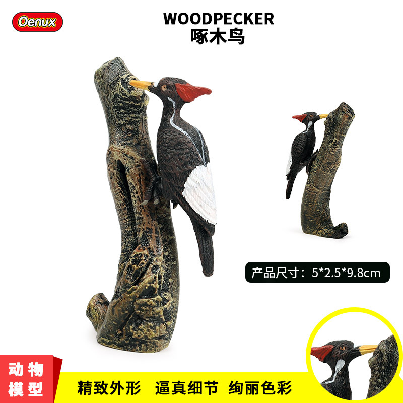 儿童仿真野生动物玩具模型飞禽鸟类摆件 墨西哥帝啄木鸟模型