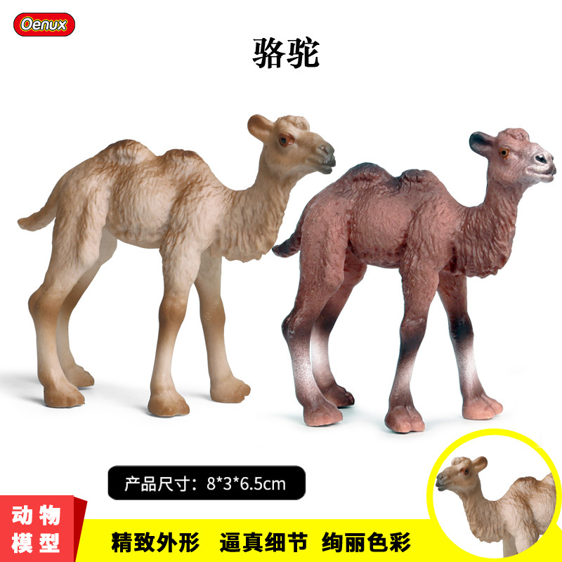 儿童认知实心仿真野生动物世界沙漠骆驼蒙古骆驼手办模型玩具摆件