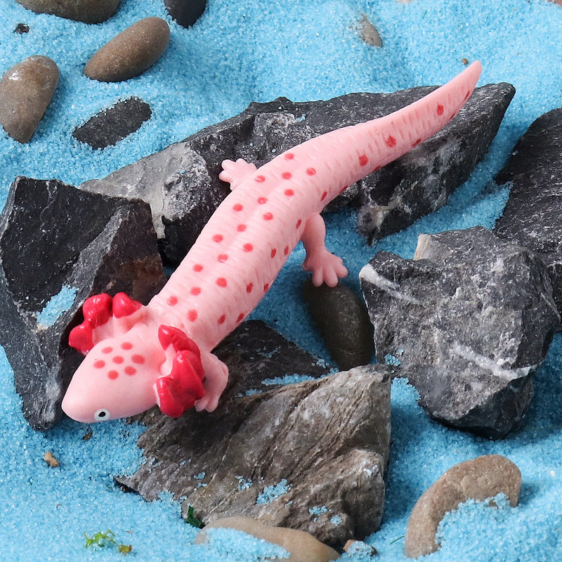 儿童认知实心仿真两栖动物蝾螈属四脚鱼六角龙淡水鱼沙盘模型
