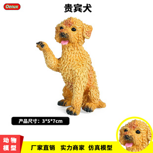 儿童仿真动物模型玩具静态实心贵宾犬宠物狗狗塑胶装饰摆件