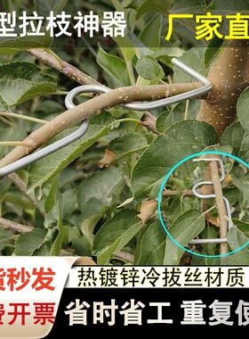 m型别枝器果树压枝神器定型器背上枝侧枝拉枝园林花卉新款拉枝器